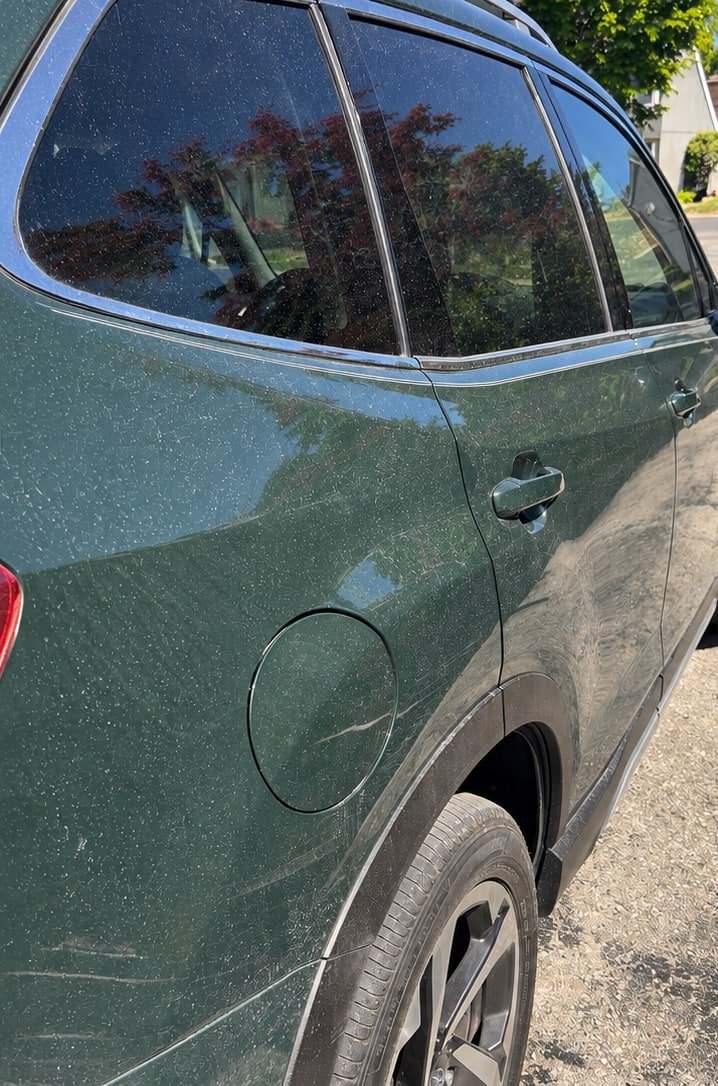 Side of a green SUV before an exterior detail